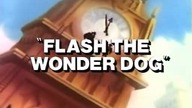 04 Brygada RR - Flash Super Pies