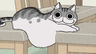 [Fusoku Subs] Yoru wa Neko to Issho 08