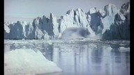 Yeti stw&oacute;r z lodu 1977 nap. aut