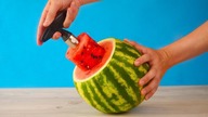 Fun Watermelon Craft and other 7 Crazy Ideas