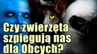 Zwierzęta mogą służyć obcym za narzędzie do obserwacji ludzkości!