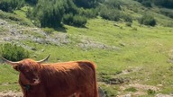 5 ZŁ za śniadanie w górach które nasyci na pare godzin