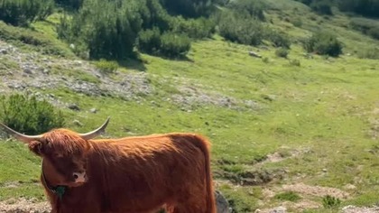 5 ZŁ za śniadanie w górach które nasyci na pare godzin