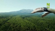 Czas gigantów - 2 (2023) [Lektor PL]