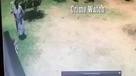 Dziecko zaatakowane przez rottweilera +18