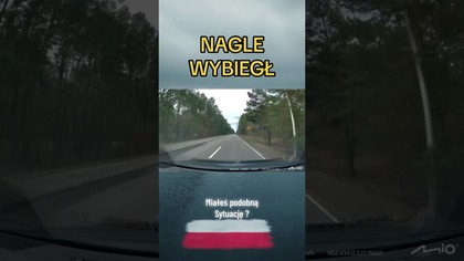 Jedziesz spokojnie a zwierzę wyskakuje prosto pod maskę! #droga #szok