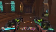 Koga bug Paladins