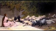 1  Wiekuisty człowiek Chestertona   Ewolucja nie jest wyjaśnieniem