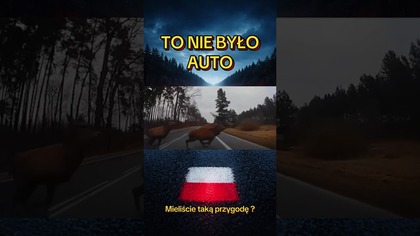 Auto vs natura  sekunda od tragedii! #polscykierowcy #droga #jelen #shorts #traffic #uwaga