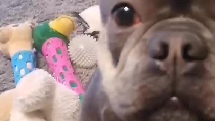 152ccb68-3818-4fe2-9b29-ed79272f5a8e