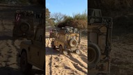 Just Camel Trophy Rc Cars #rccars #cameltrophy #shorts