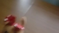 Przygody zwierzątek 01 grzybobranie