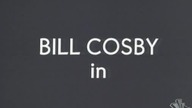Bill Cosby Show S02E25 - Denises Decision