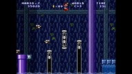 Mario Worker Letter Worlds Series 1.51 (2026) World C Swampertion