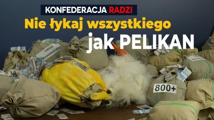 Nie łykaj wszystkiego jak pelikan!