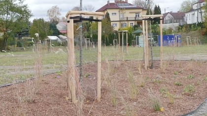 Pięknieje skwer w centrum miasta