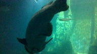 AFRYKARIUM WROCŁAW 13 08 2023 (15)