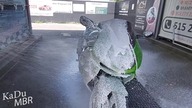 Kawasaki ZX9R Cinematic