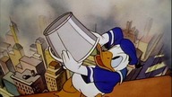 Kaczor Donald - Pomywacz okien