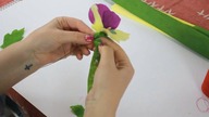 Kwiatki z bibuły#3 BRATKI DIY Flowers