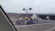 Tymczasem w Rumunii    