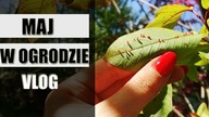 Vlog Ogrodowy - MAJ w ogrodzie warzywnym i ozdobnym