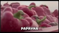ROLNICY ZNOWU RUSZYLI NA DROGI! - bunt wraca !!! mp4 686x432