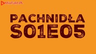 Pachnidła S01E05 O pewności