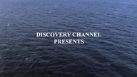 12 dni grozy (2004 TV) stary