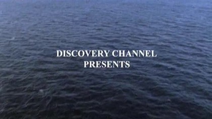12 dni grozy (2004 TV) stary