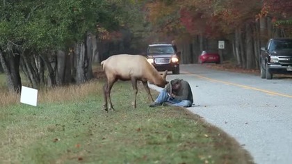 Fotograf w potrzasku