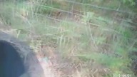 Policjant chyba za dużo grał w GTA   