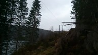 Wysadzanie drzewa na liniach energetycznych