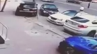 Kot terroryzuje psa