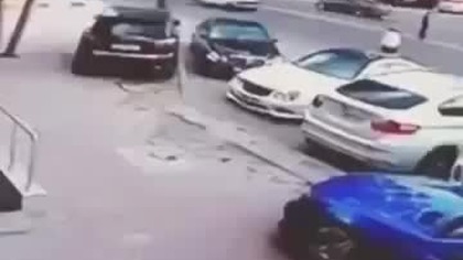 Kot terroryzuje psa