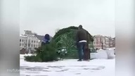 Rosyjska choinka strajkuje :)