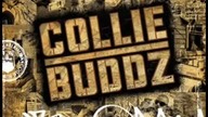 Collie buddz -- tomorrow's another day