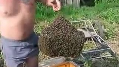 Rosyjski pszczelarz