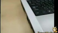 Подборка лучших ПРИКОЛОВ октябрь 2013! "funny Fail Compila
