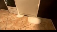 Płyn do mycia naczyń + zmywarka (Łowcy B)