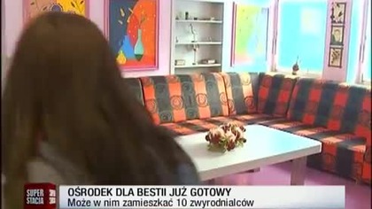 Bestia na wolności  Mariusz Trynkiewicz wychodzi z więzienia 