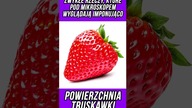 ZWYKŁE RZECZY, KTÓRE POD MIKROSKOPEM WYGLĄDAJĄ IMPONUJĄCO POWIERZCHNIA TRUSKAWKI