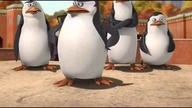 Pingwiny z MadagaskaruTV - Prawa ręka