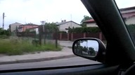 Gazela z Radomska