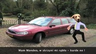 GANGNAM STYLE Po Polsku Parodia