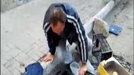 Po ile śliwki?