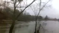 Poszukiwanie tajemniczego zwierzęcia 