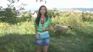 Mydlił mi barana!