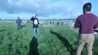 Amerykanie i ich IQ czyli rzut kamieniem w twarz