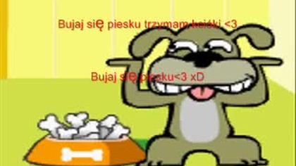 Pies tańczy do piosenki BUJAJ SIĘ - By Arbuzek Girl (nie msp)